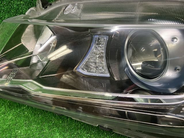 左右 HID