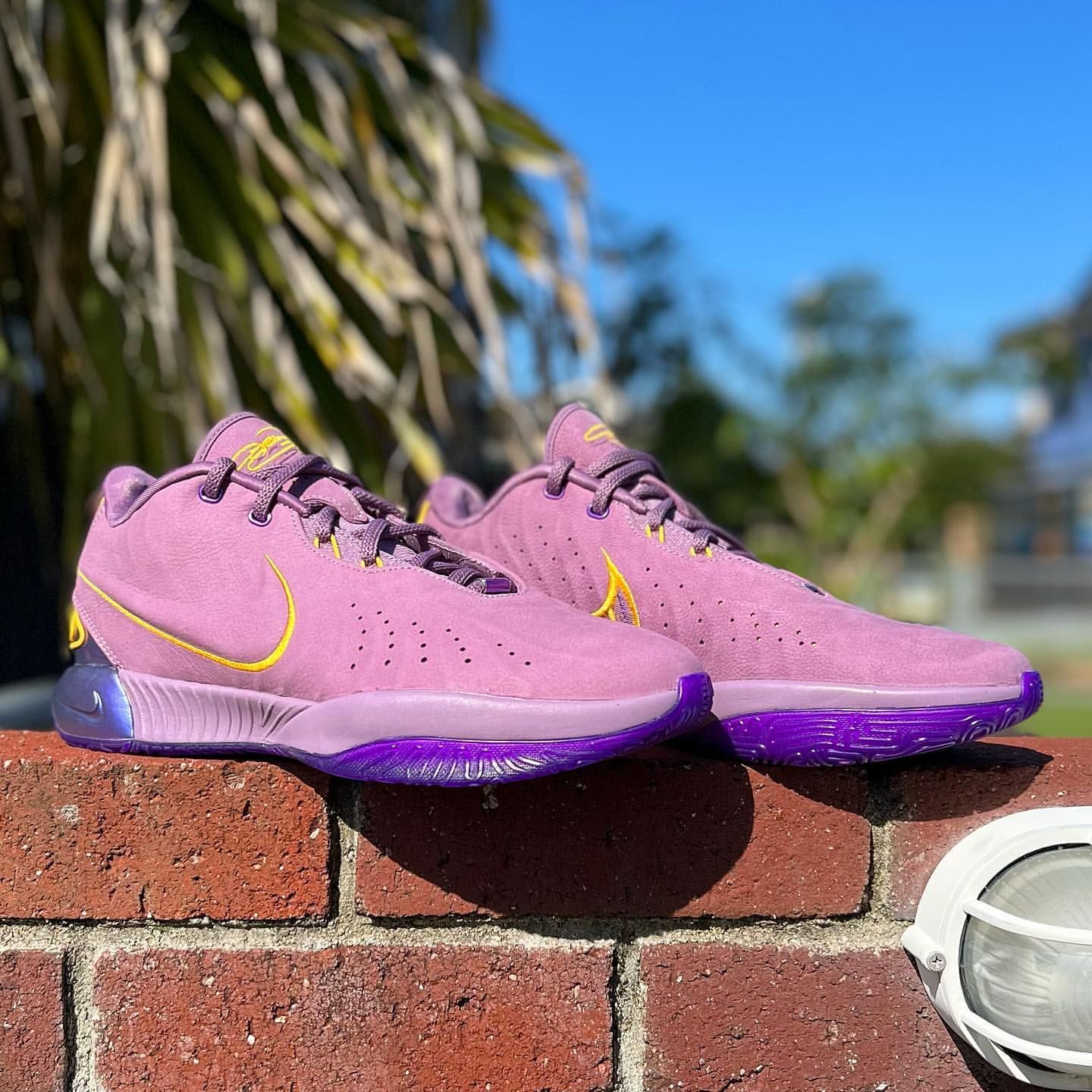 Nike Lebron21 lakers 即完カラー バッシュ 新品 Nike Lebron21 lakers 即完カラー バッシュ 新品
