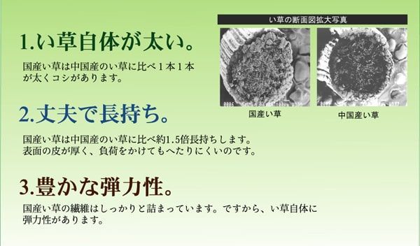 261×261cm 江戸間4.5畳