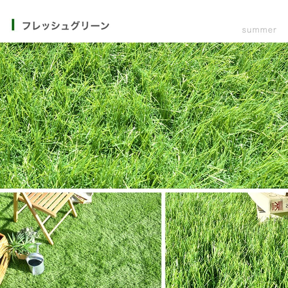 リアル 47万本|m2