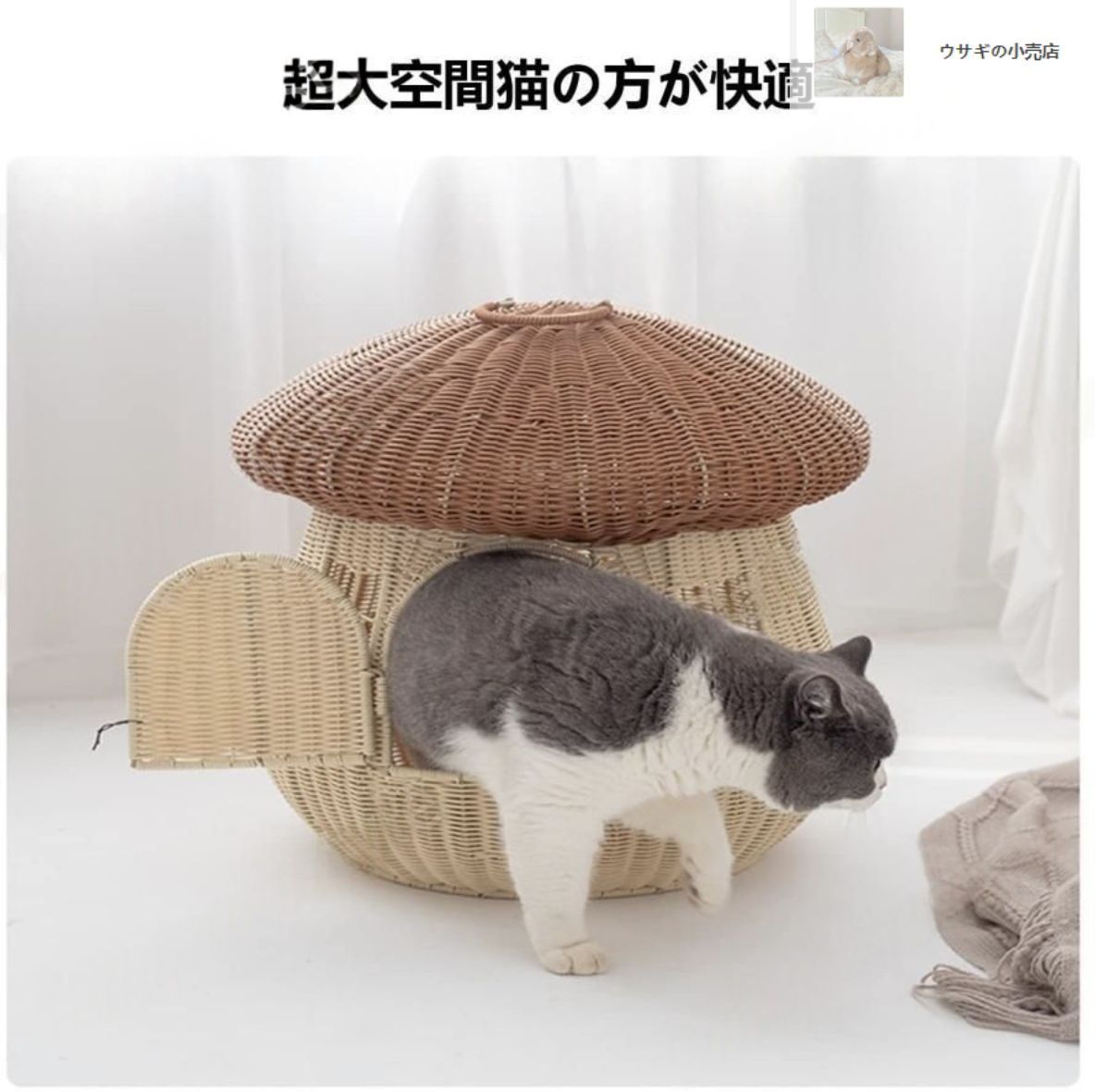 小中型