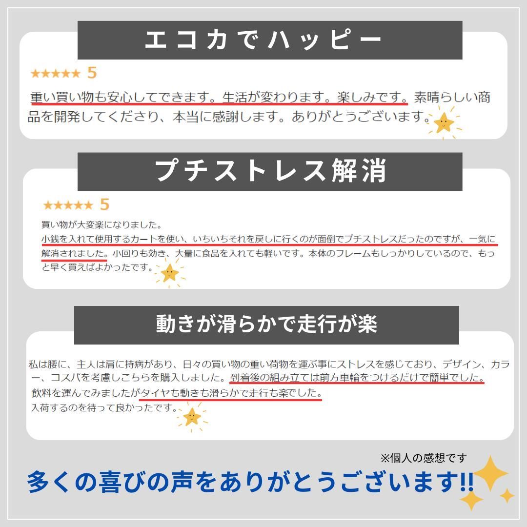 クラシックブラック 折りたたみ