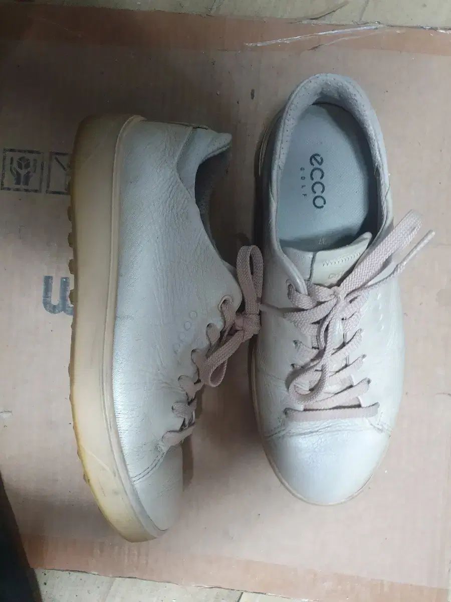 ウィメンズエコー ゴルフシューズ 235 アイボリー