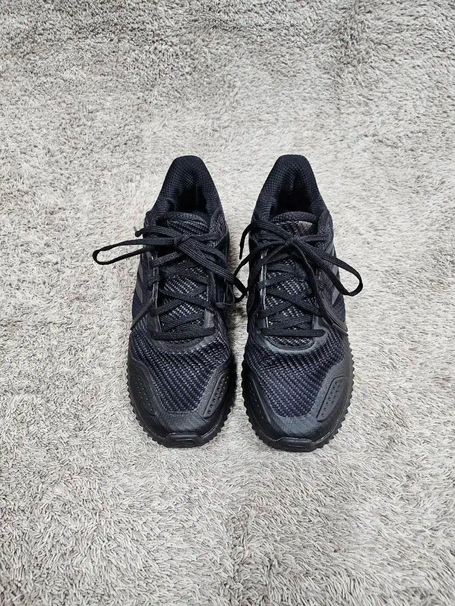 本物のアディダス製品 クリマワーム バウンス 250 工場