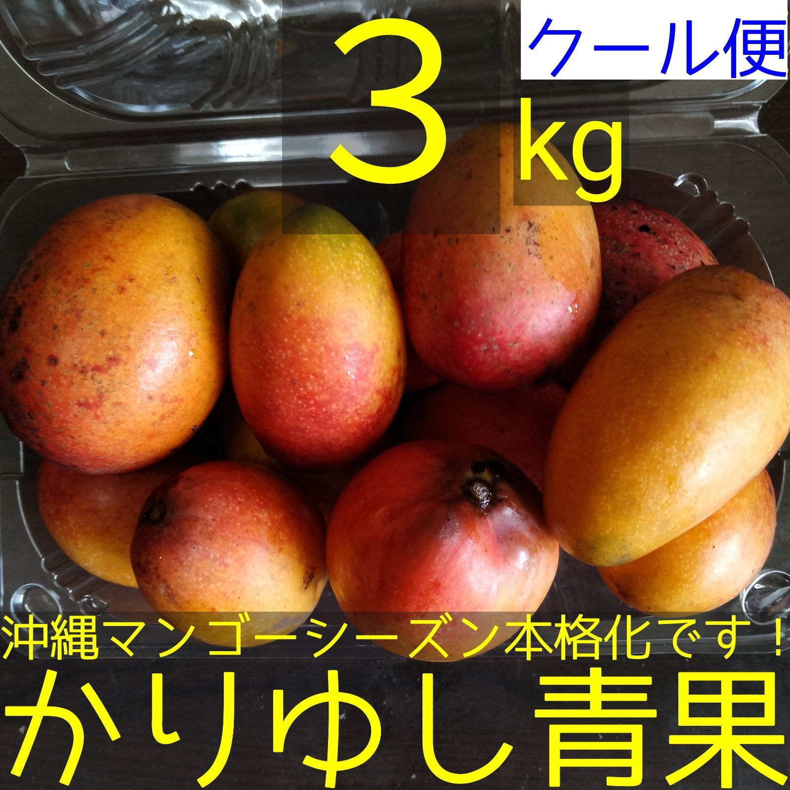 ※ nanaryo2525様ご注文品※沖縄県産ミニマンゴー3kg 沖縄県産 ミニマンゴーB品 約3kg【クール便】⑤ - メルカリ
