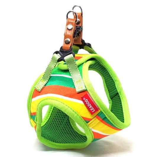 森岡成好 わん(灰釉茶碗) 川淵直樹