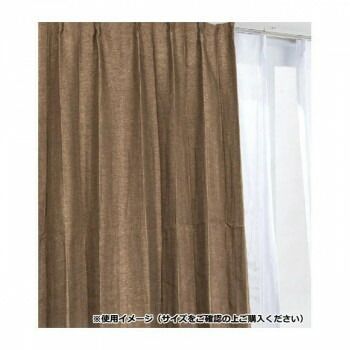 カーテン ジール 2P 100X215 BR 725790000215085
