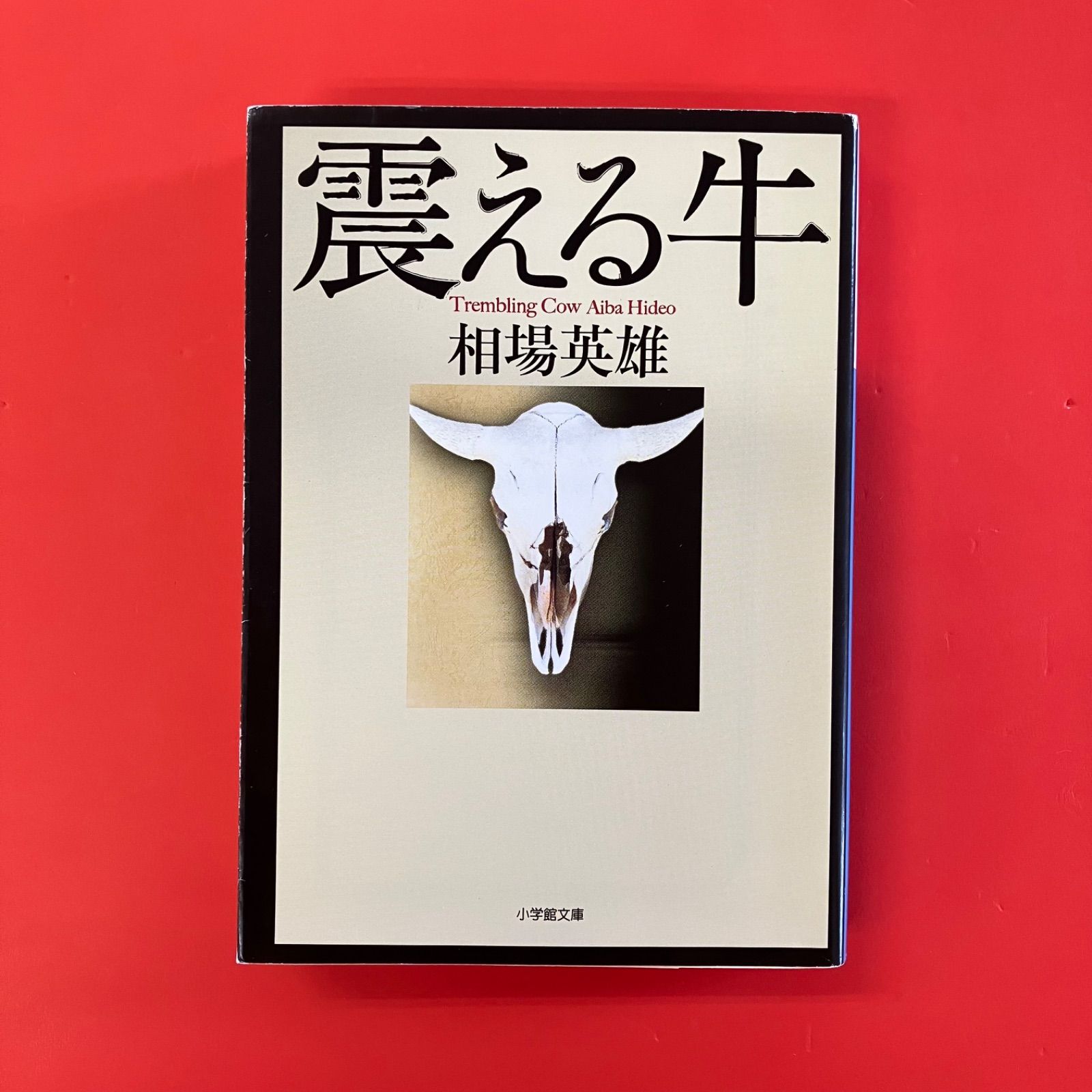 震える牛 ym_b1008_4474 - メルカリ