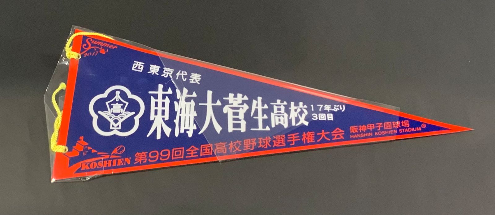 東海大菅生 第99回全国高校野球選手権大会出場記念 - ウェア