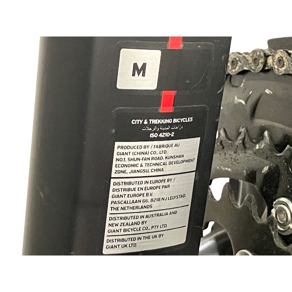 人懐っこい GIANT ESCAPE RX DISC 2019年モデル クロスバイク ジャイアント フレーム アウトドア サイクリング H10361589