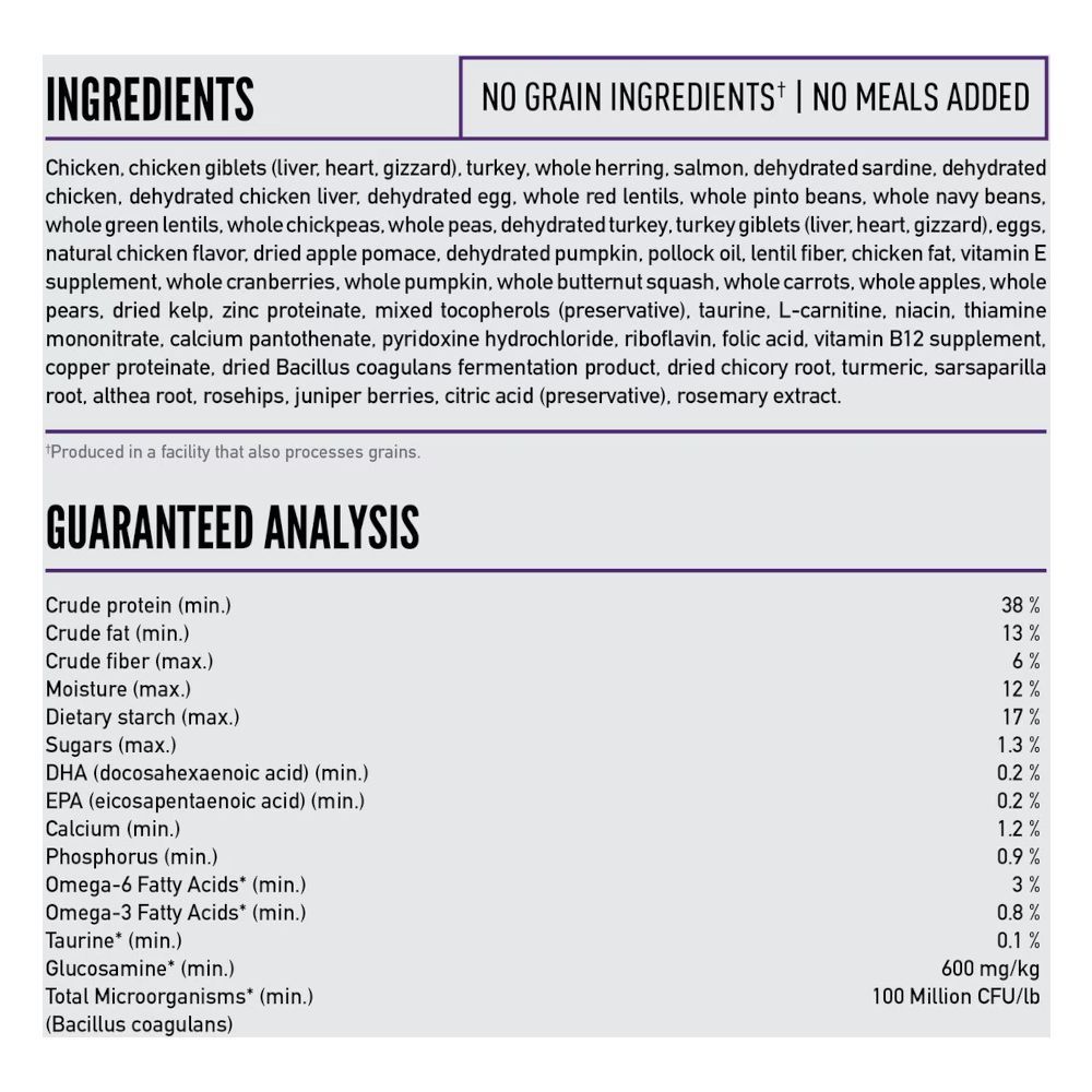 アダルト オリジナル