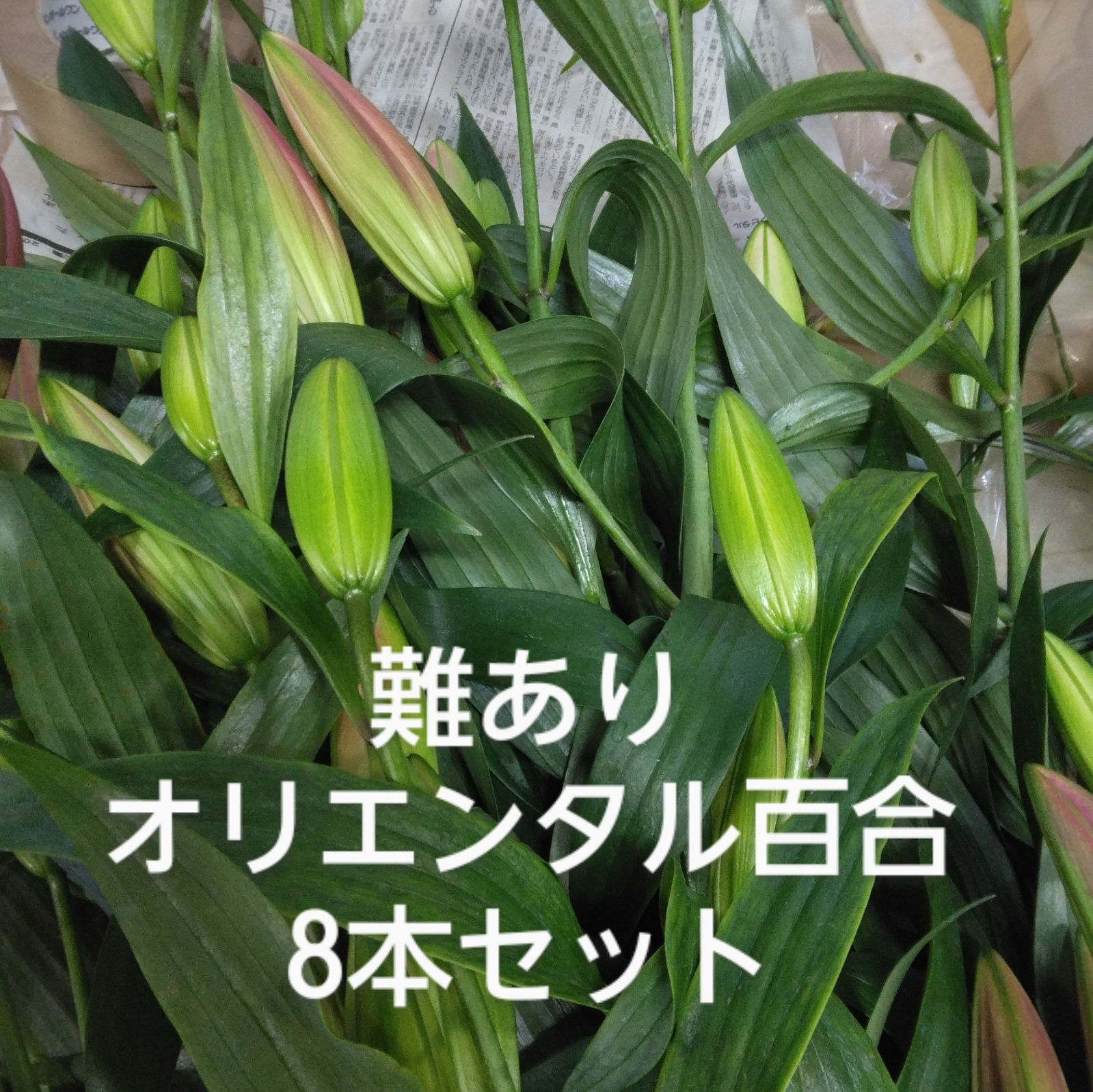 難あり 百合 8本セット 訳あり オリエンタル 花材 切花 生花 花束 森下