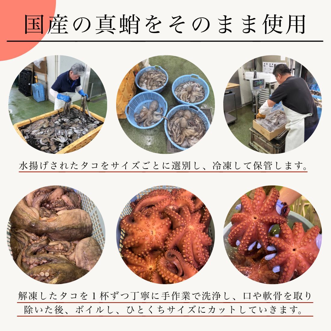 無添加 国産 天然 蛸 タコ ぶつ切り 350g×1袋 冷凍 真蛸 ゆでだこ ひと口サイズにカット済み ボイル済で使いやすい すぐに使えるバラ冷凍 便利なチャック袋入り たこ焼きパーティーに サラダに パスタに【C配送：冷凍】