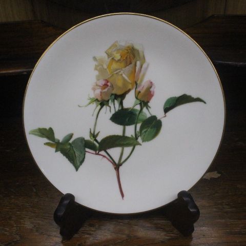 直径約24cm 自然主義 アンティーク ミントン 1870年-1890年頃