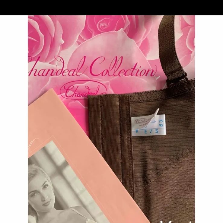 シャンデールスリーインワンモカブラウンE75