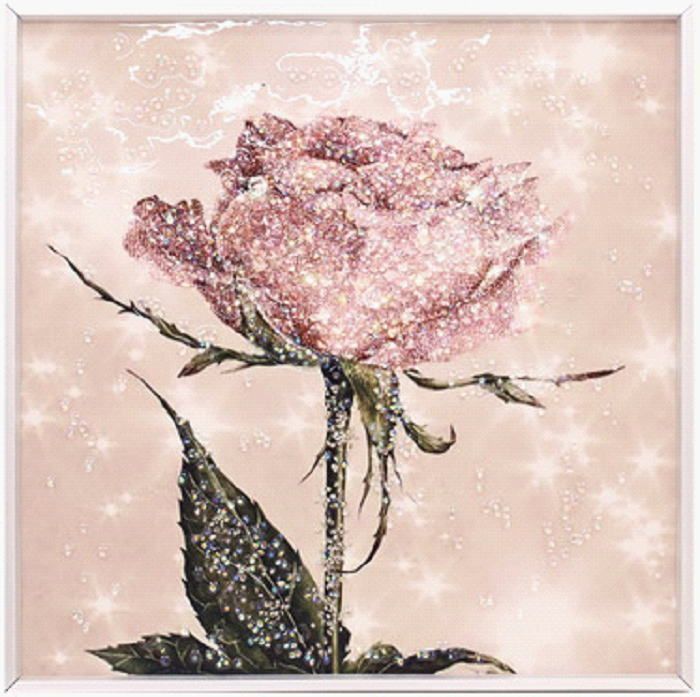 クレステッドゲッコー】自作額縁入りB5 【クレステッドゲッコー】自作