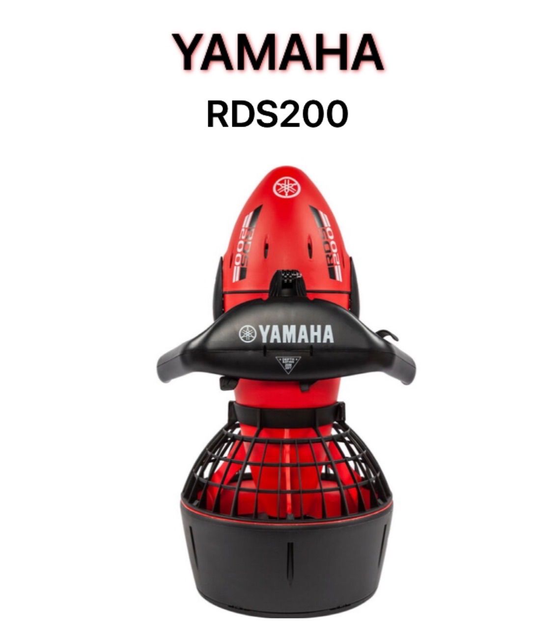 YAMAHA RDS200 シースクーター ビーチダイビング - メルカリ