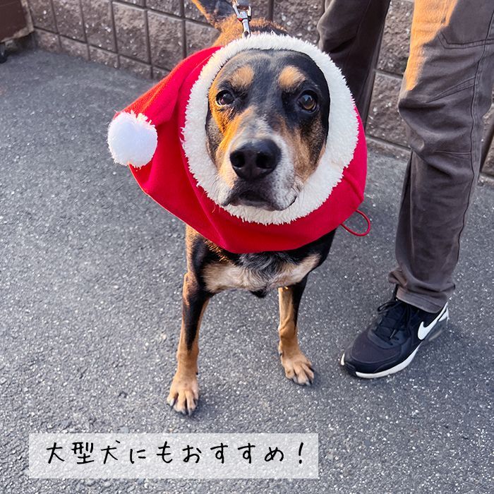 犬 帽子 サンタクロース コスプレ ペット クリスマス もこもこ サンタさん ポンポン付き 暖かい ネックウォーマー フレンチブルドッグ フレブル 小型犬 中型犬 大型犬 レッド 赤 KM135G