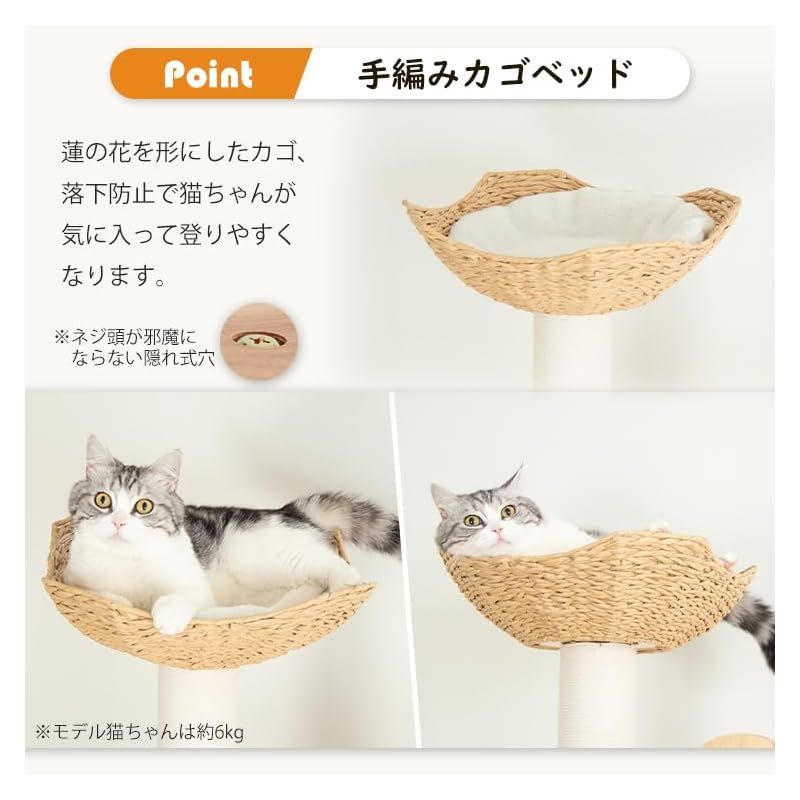 大型猫 おしゃれ