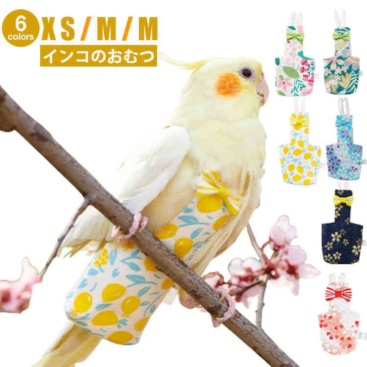 ほっぺが可愛すぎる♥オカメインコヒナ(ルチノー)