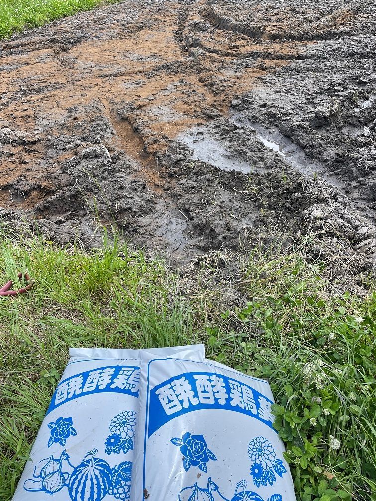 10kg 兵庫県