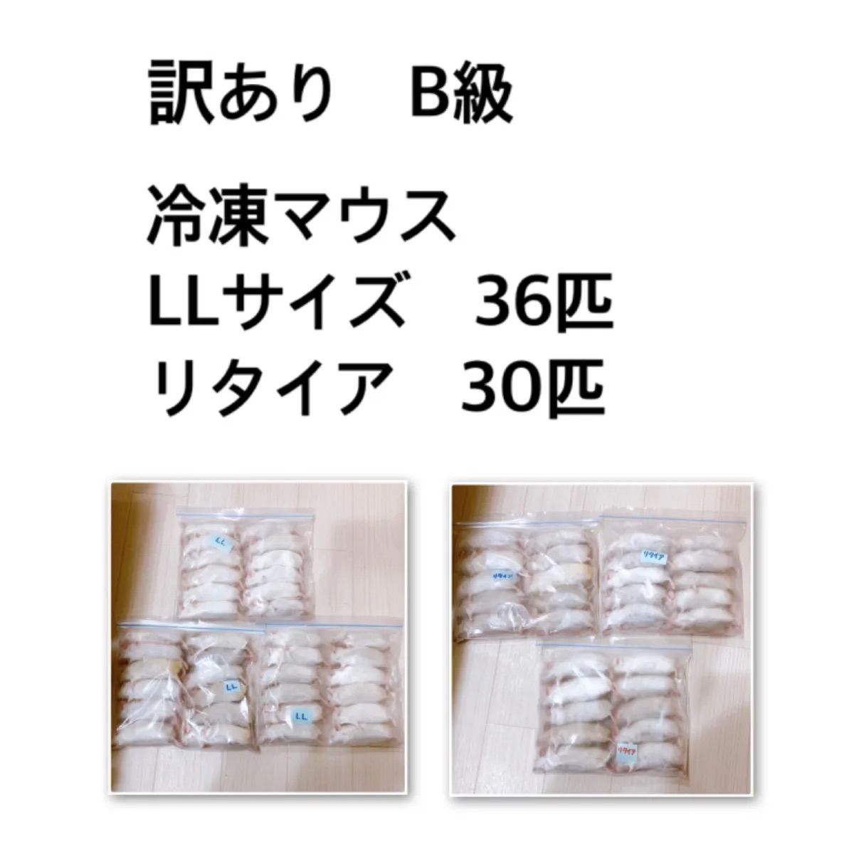 訳あり冷凍マウス LLサイズ、リタイアサイズ | escudea.com