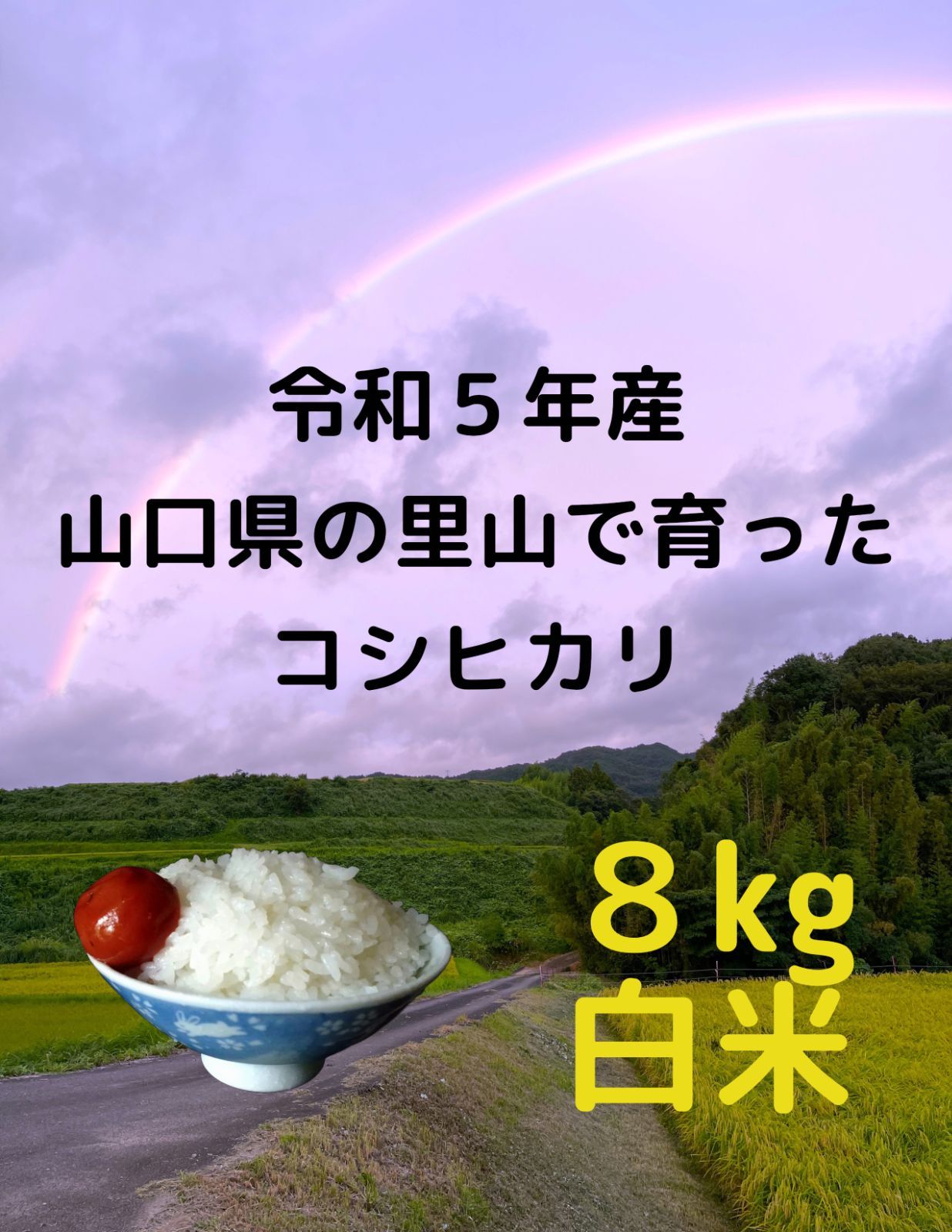 令和5年 山口県産コシヒカリ ８キロ 無洗米 - 米・雑穀・粉類