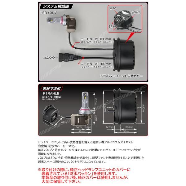 ホワイト 12V