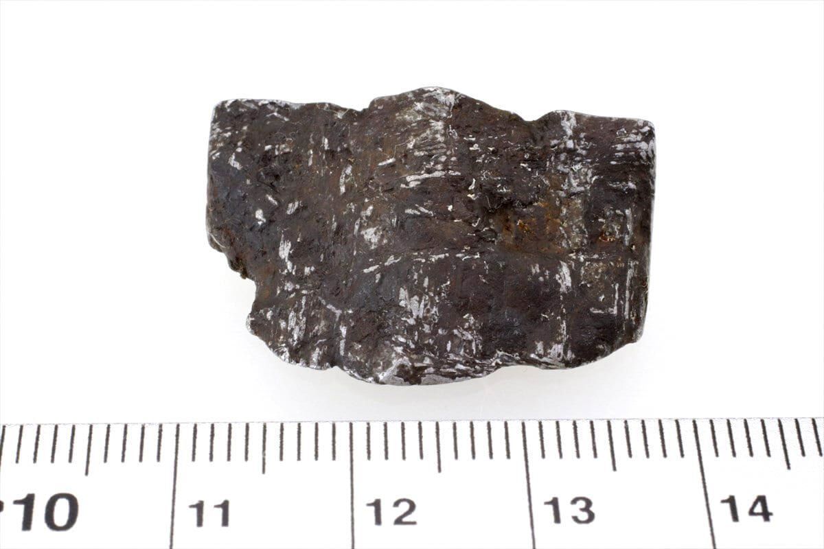 ムオニナルスタ ムオニオナルスタ 15g スライス カット 標本 隕石 