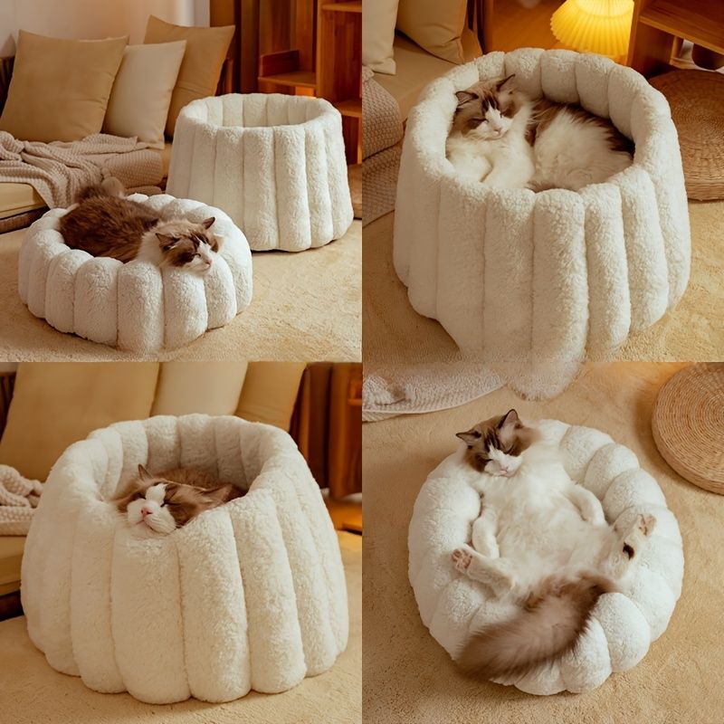 キャット