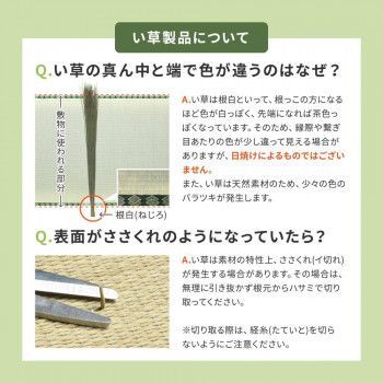 撥水 い草ラグ