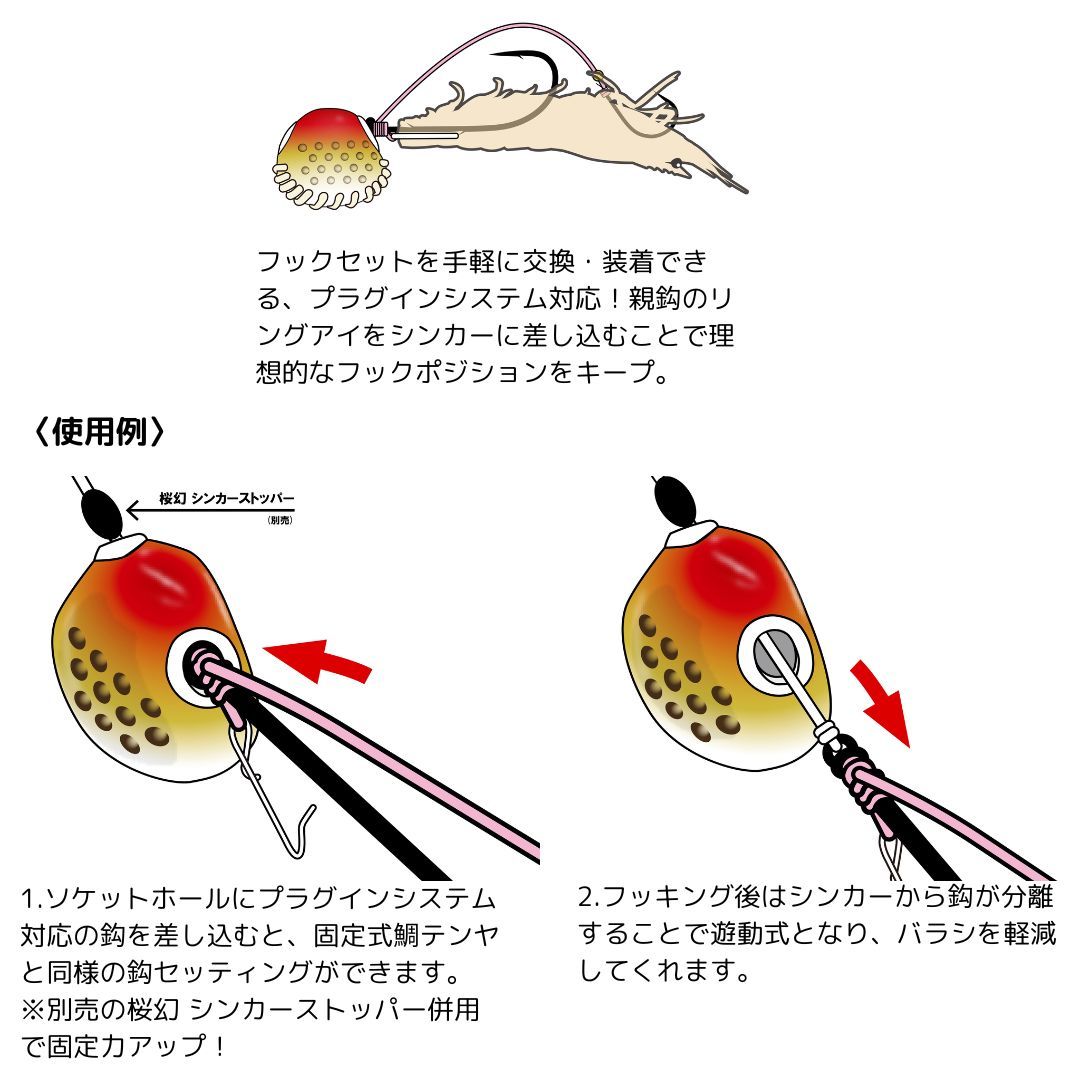 専用❤️速達付き同梱-300円　コノフィツム マウガニ— 紅蟠桃　超平型　鉢のまま 専用❤️速達付き 同梱- mana様 リクエスト 5点 まとめ商品
