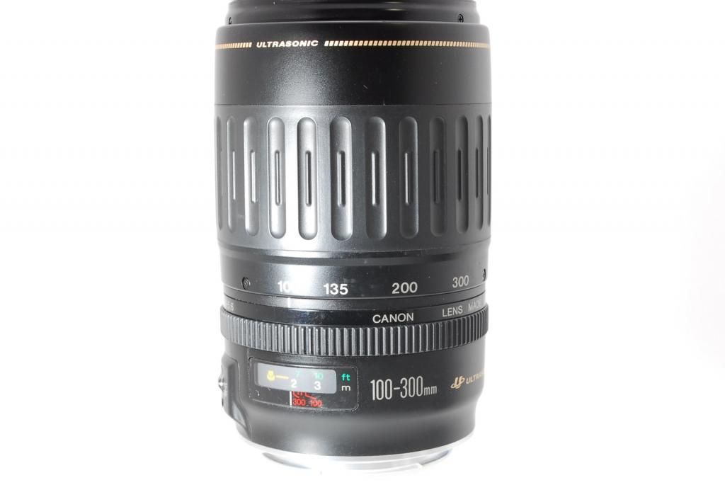 遠くの世界を手の届く距離に キヤノン EF 100-300mm USM Yahoo