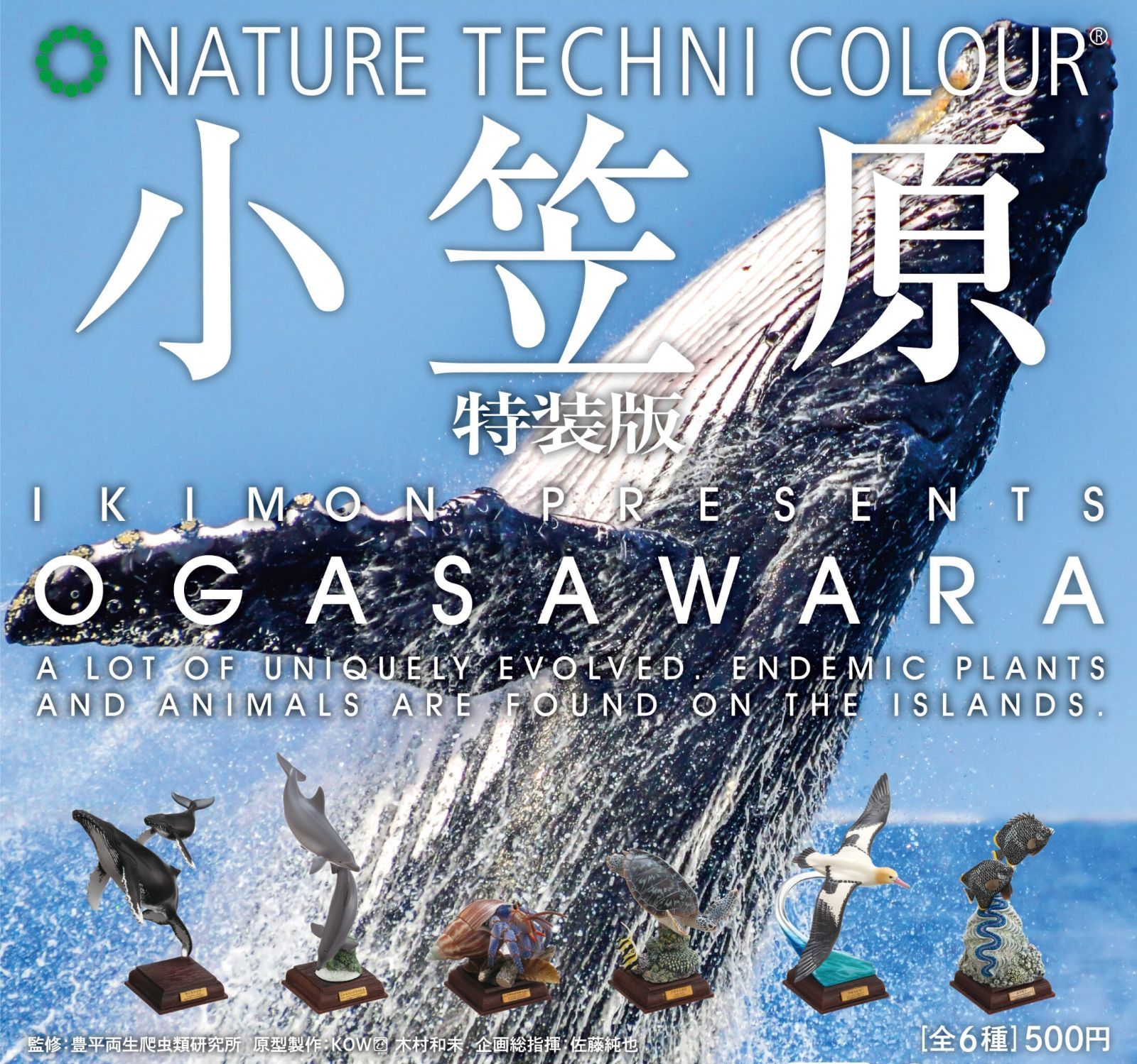 ネイチャーテクニカラー小笠原 小笠原 OGASAWARA – ネイチャーテクニカラー公式