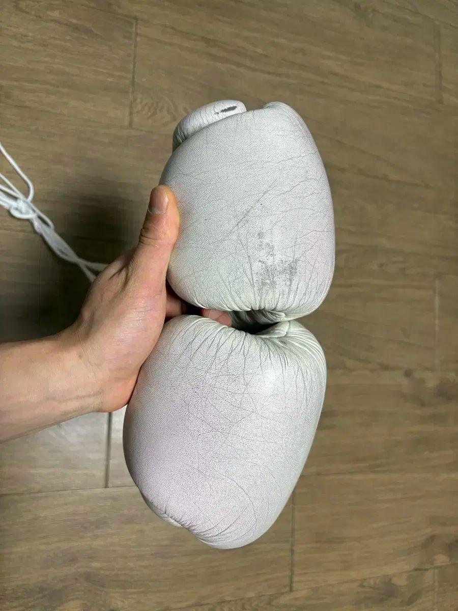 オフィシャル