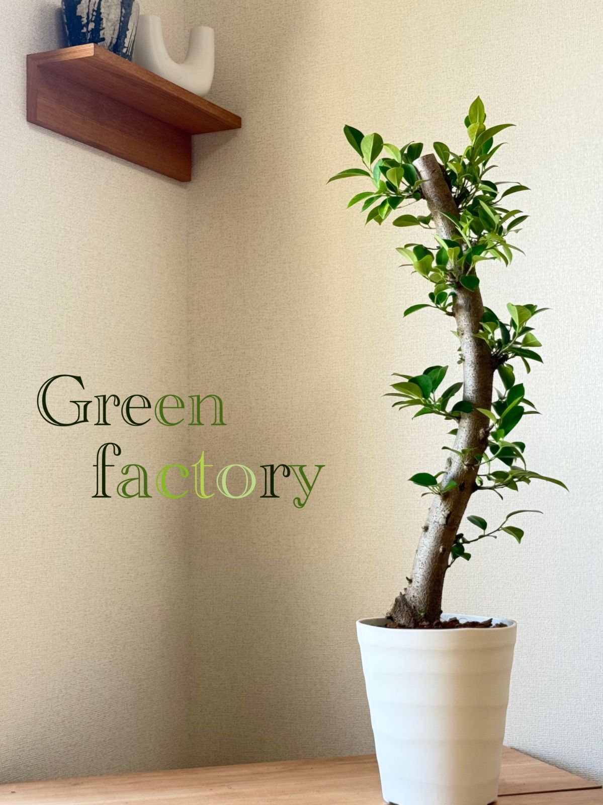 Salvatore Ferragamo◇ノースリーブワンピース/40/コットン/BEG