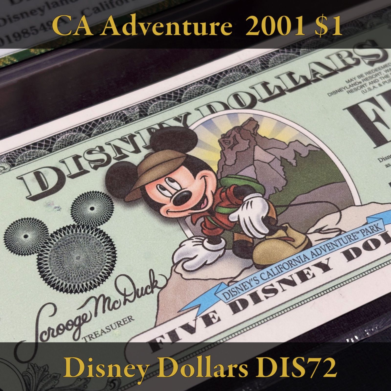 ディズニーダラーカリフォルニア