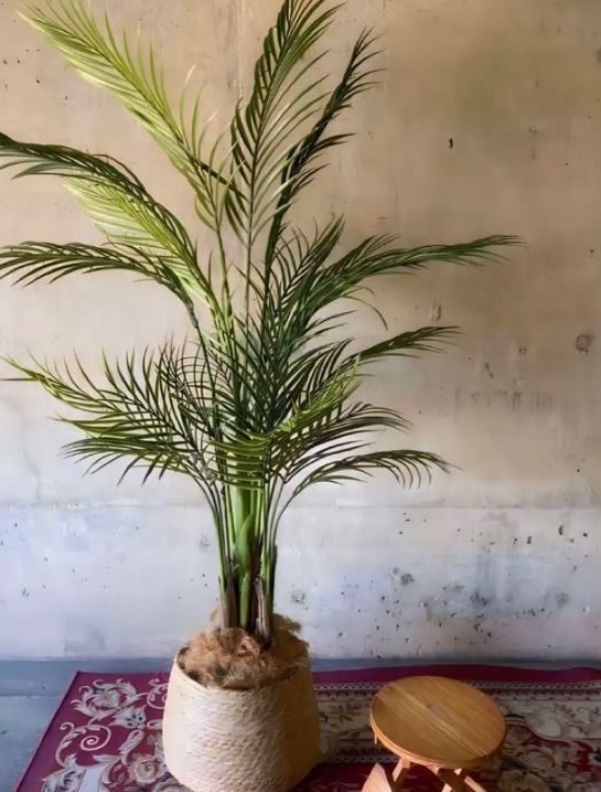 光触媒 人工観葉植物 ウォールグリーン フェイクグリーン アレカヤシ