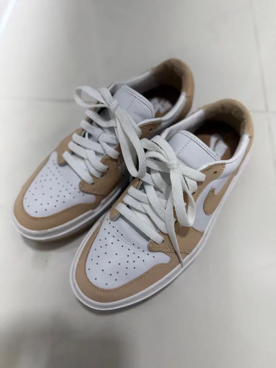 NIKE ナイキ ウィメンズ エアジョーダン エリベート オニキス 250