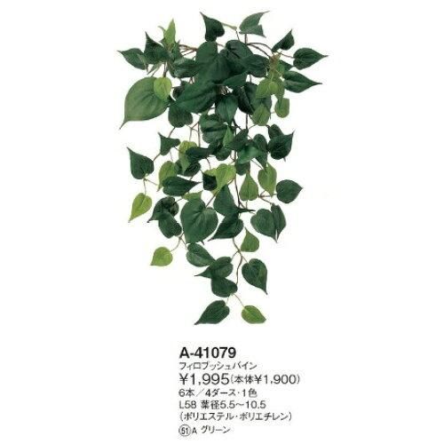 【新品・3営業日で発送】アスカ(Asca) フィロブッシュバイン (A-41079-051A)【入数:6】