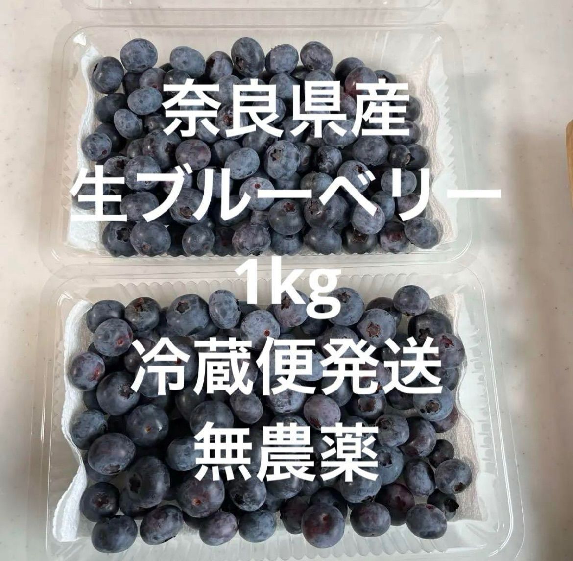 ⭐令和4年　生ﾌﾞﾙｰﾍﾞﾘｰ⭐無農薬　6㌔ minami-farm_120