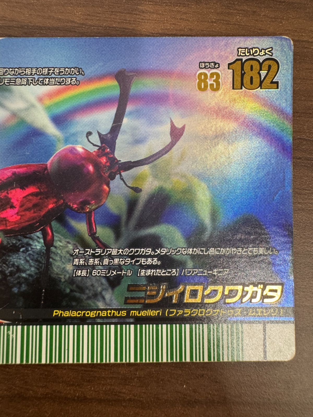☆ムシキング　2008夏レインボー　ニジイロクワガタ（赤）　希少☆ ☆ムシキング 2008夏レインボー ニジイロクワガタ（赤） 希少