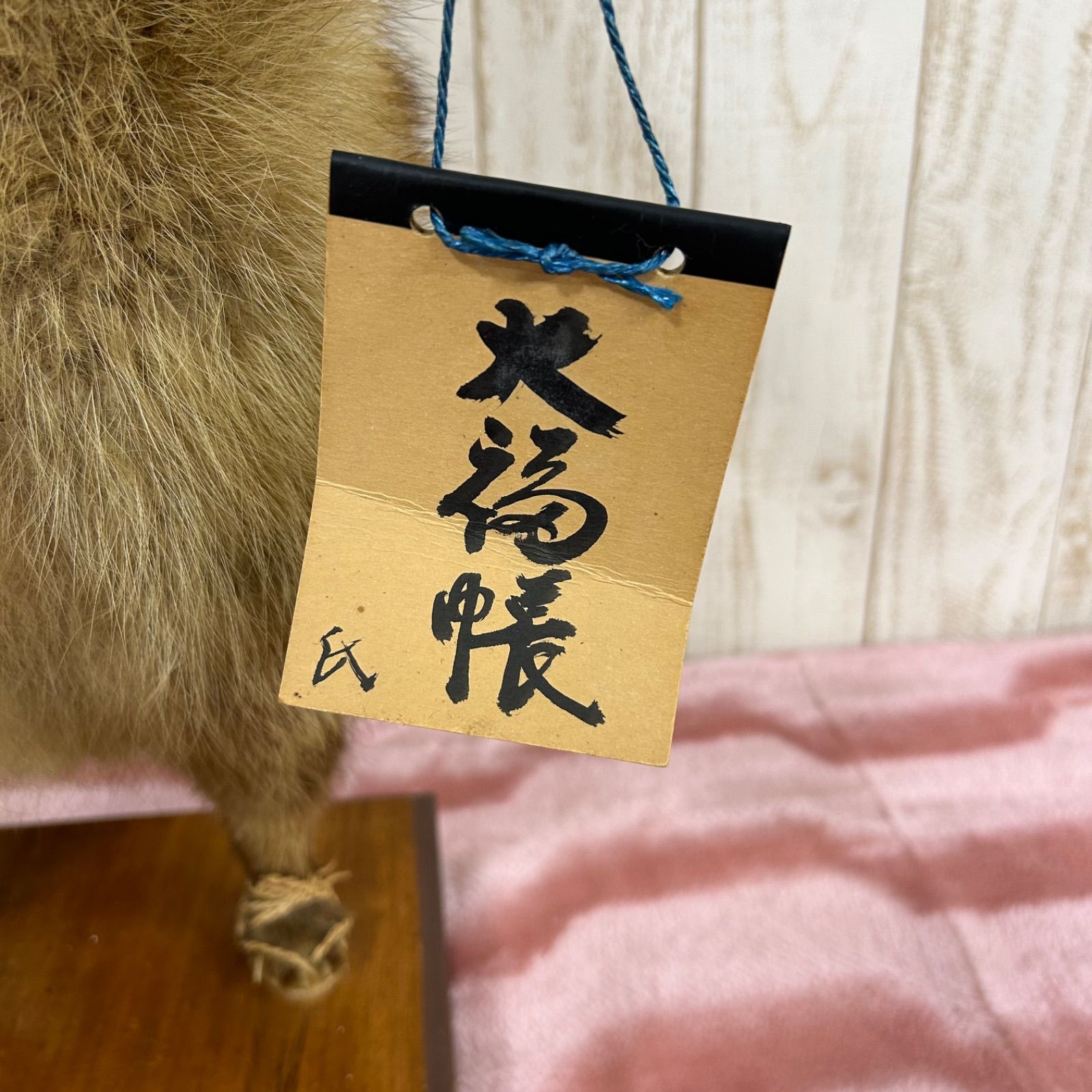飛騨高山 剥製の七衛 たぬきの剥製 昭和54年 - メルカリ