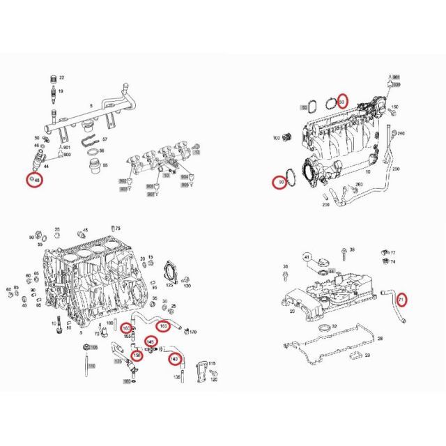 ナツハゼ　株立ち　288 楽天市場】【現品発送】ナツハゼ 株立樹高1.4-1.6m(根鉢含まず