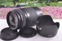 大切なシーンを望遠で！Canon Zoom LENS EF75-300mm F4-5.6 USM イベントに大活躍 ！キヤノン 望遠レンズ Zoom LENS 交換レンズ 一眼カメラ EOS Kiss レンズフード