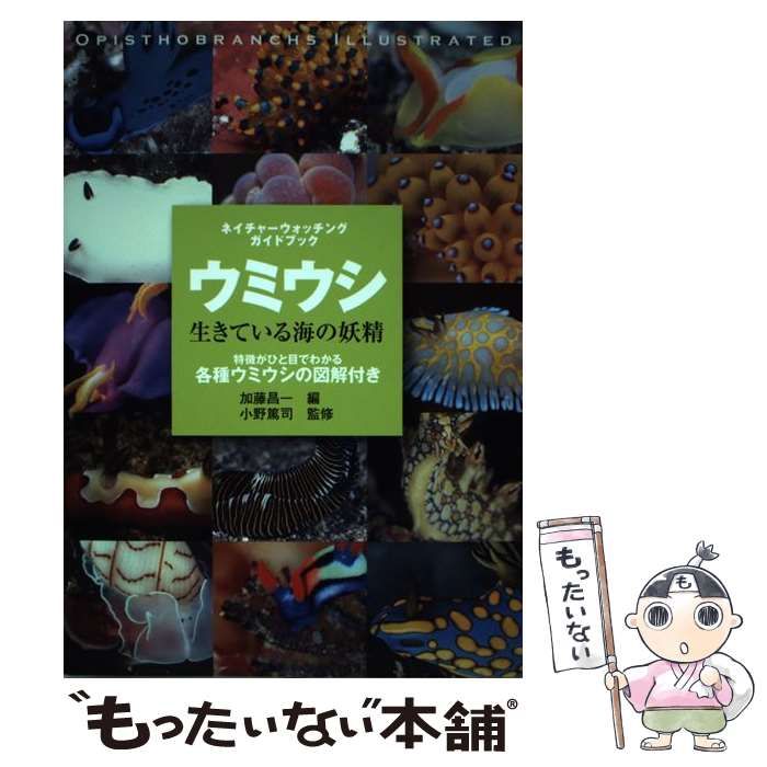 中古】 ウミウシ生きている海の妖精 ネイチャーウォッチングガイド