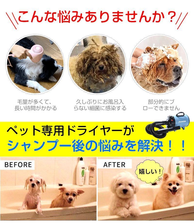 犬