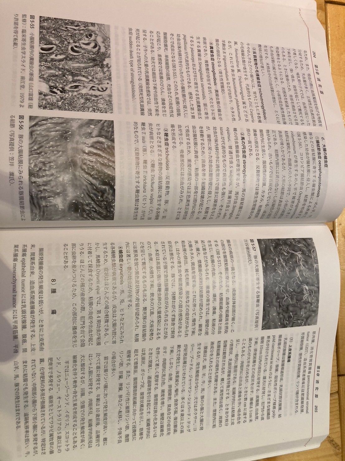 動物病理学各論　第二版 動物病理学各論 第2版 | 日本獣医病理学専門家協会 |本 | 通販