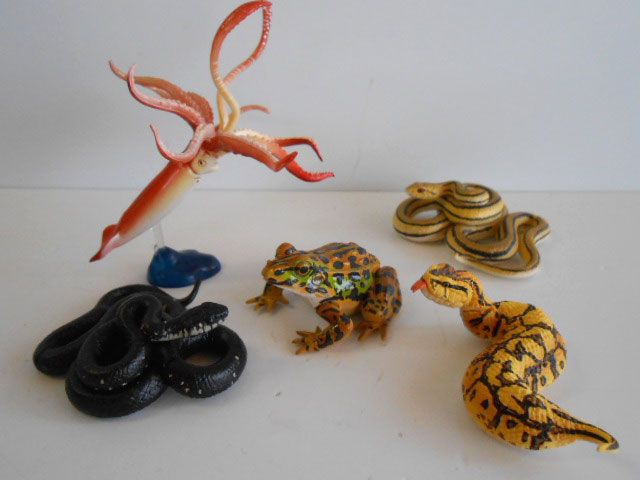 ♯Jvi12GjカプセルQ日本の動物3東京巨大都市と離島S入フル