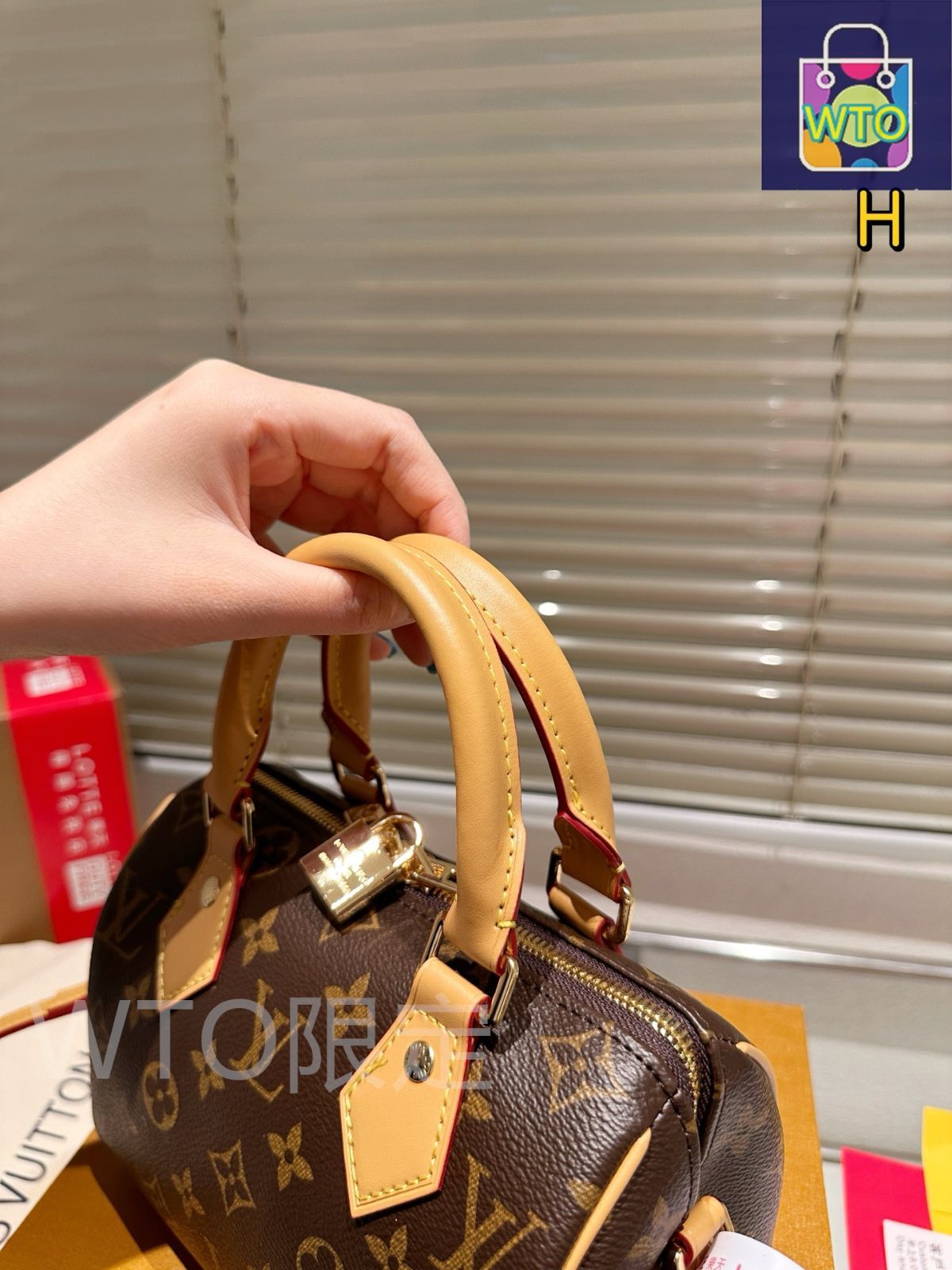 今日WTO】LV (Louis Vuitton) Speedy 20 ピローバッグ